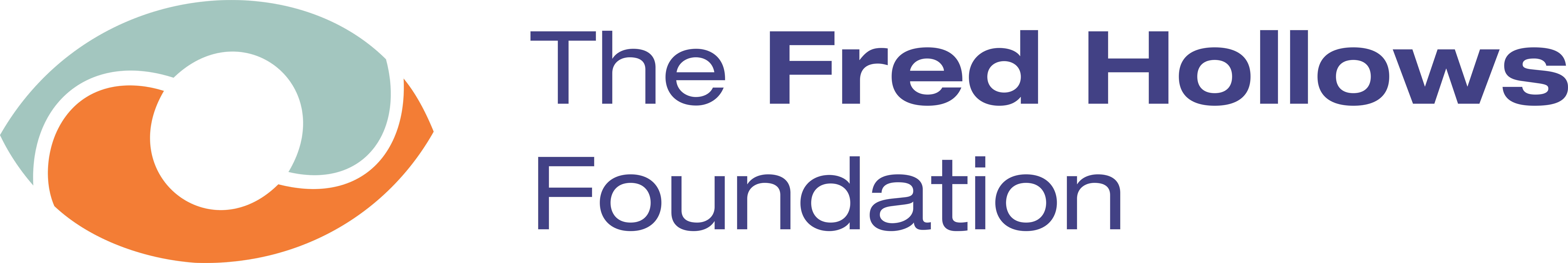 FHF VN (www.hollows.org)